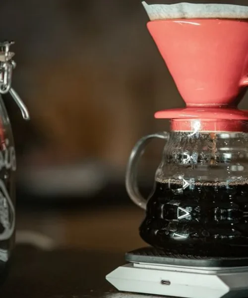 Mastering Comparative Coffee Tasting Without the Premium Price Tag