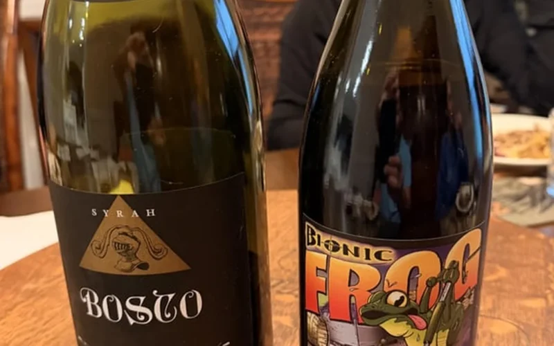 Two different glasses of red Syrah wine representing savory earthy and sweet fruity profiles.