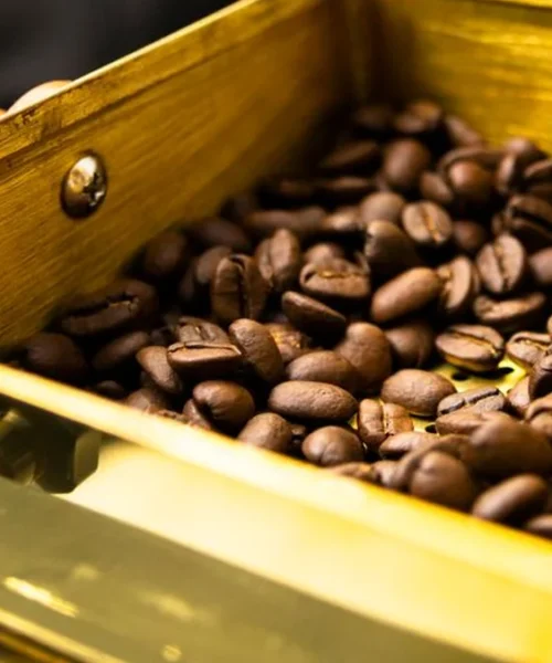 Shifting Specialty Coffee Culture Through Roasting in Pakistan