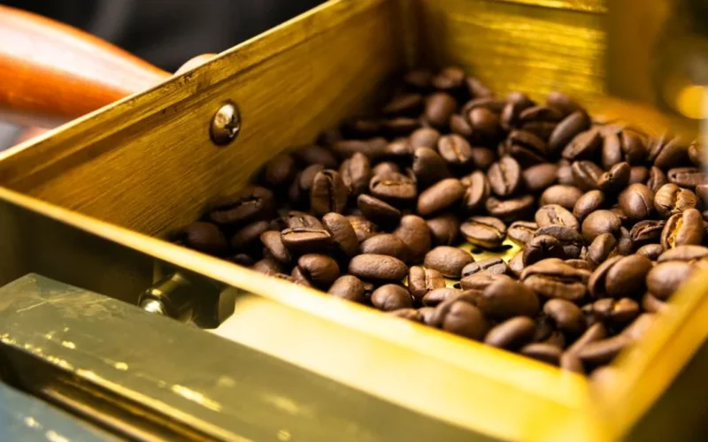 Roasted specialty coffee beans near a Chemex brewer and professional roasting tools.
