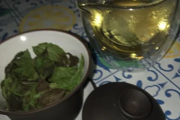 Anaerobic Stress Transforms Garden Spearmint Into Something New