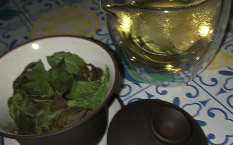 Fresh green spearmint leaves submerged in a clear glass cup with small air bubbles.