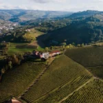 A chilled glass of Beaujolais Blanc overlooking sunlit vineyards in the Pierres Dorées region.