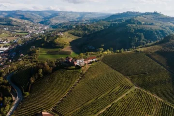 Beaujolais Blanc Offers Burgundian Elegance Without the Price Tag