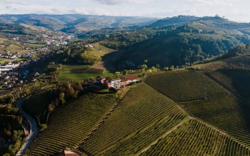 A chilled glass of Beaujolais Blanc overlooking sunlit vineyards in the Pierres Dorées region.