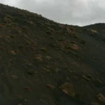 Low basket-trained grapevines growing in dark volcanic soil on a Santorini hillside.