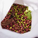 Raw green Arabica coffee beans spilling from a burlap sack on a wooden background.