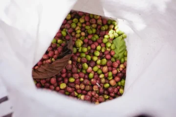 Brazilian Arabica Shipments Hit Six-Year Low Amid Logistical Bottlenecks