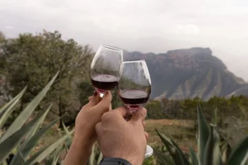 Cas ‘Amaro Is Redefining Portuguese Wine Tourism
