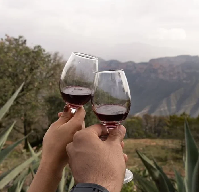 Cas ‘Amaro Is Redefining Portuguese Wine Tourism