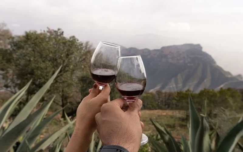 Cas ‘Amaro Is Redefining Portuguese Wine Tourism