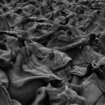 Close up of roasted coffee beans in a burlap sack representing African exports to China.