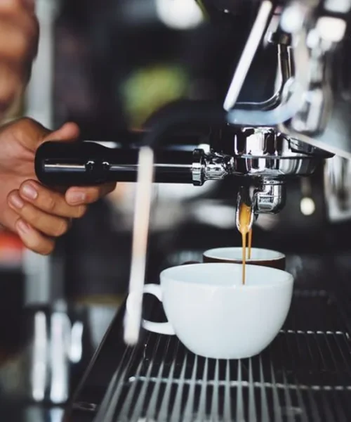 Choosing Between MaraX Tradition and Profitec Go 2.0 Precision