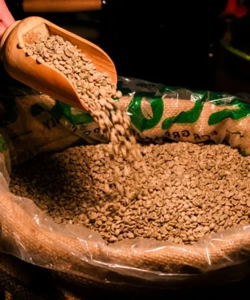 Congolese Microlots Offer Rare Specialty Opportunities Through New Auction