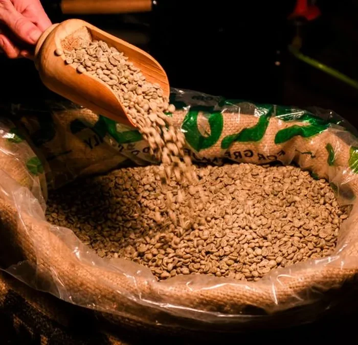 Congolese Microlots Offer Rare Specialty Opportunities Through New Auction