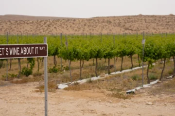 Greg La Follette Is Resurrecting California’s Forgotten French Colombard