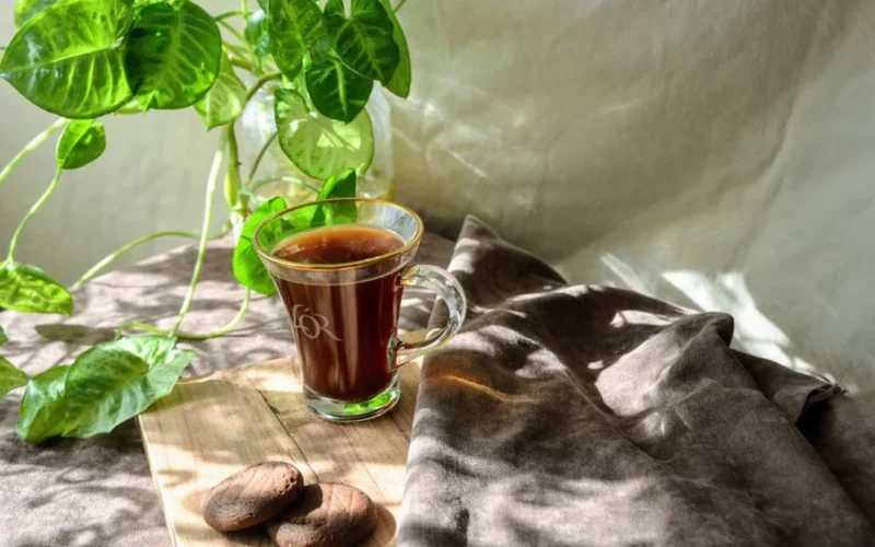 Deep red hibiscus tea in a clear glass mug with dried hibiscus flowers.