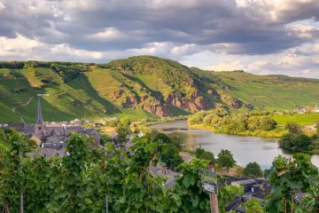 High Altitude Vitality at Domaine Saint Amant