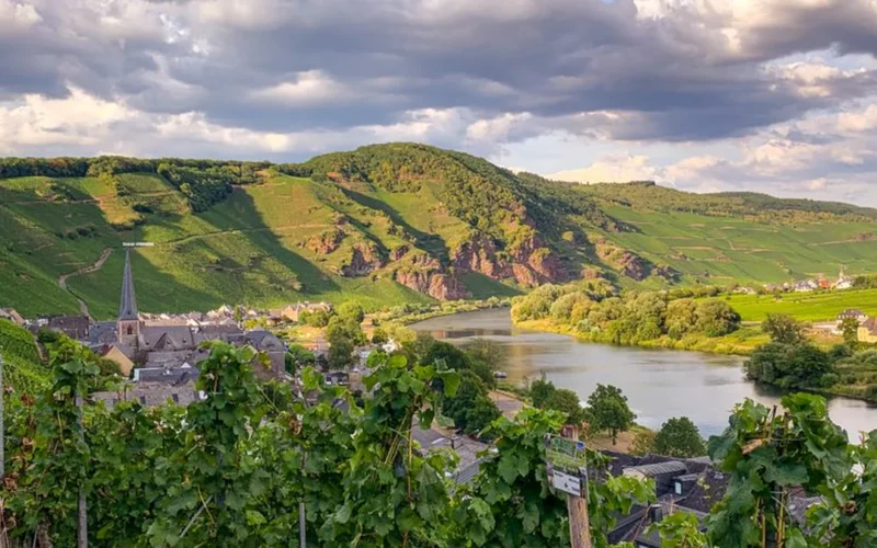 A glass of white wine overlooking high altitude vineyards in the Rhône Valley.