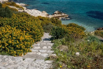 Island Terroir Defines Italy’s Regional Liqueurs