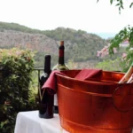Two glasses of Greek white wine resting on a stone table overlooking a sunny vineyard.