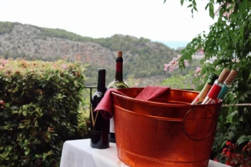 Malagousia Is the Necessary Counterweight to Assyrtiko