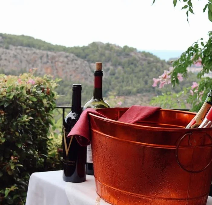 Malagousia Is the Necessary Counterweight to Assyrtiko