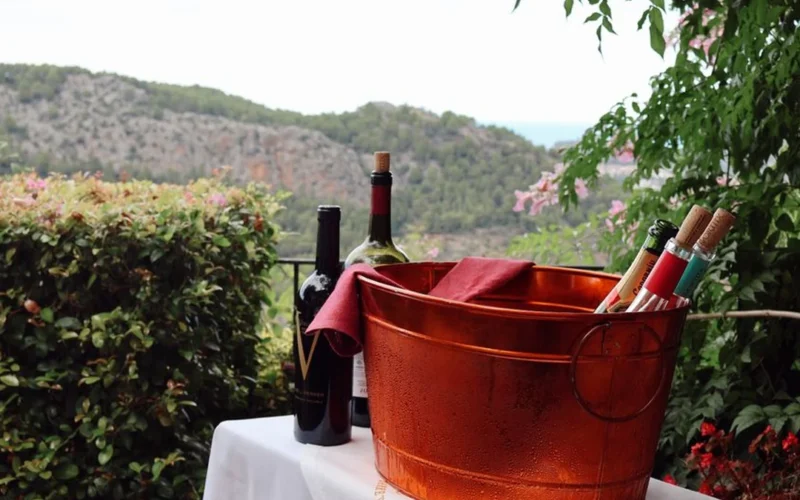 Two glasses of Greek white wine resting on a stone table overlooking a sunny vineyard.