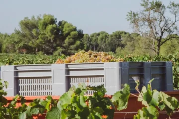 Margan pivots toward quality and regenerative viticulture in the Hunter