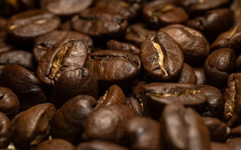 Macro shot of dark roasted coffee beans next to white caffeine crystals on slate.