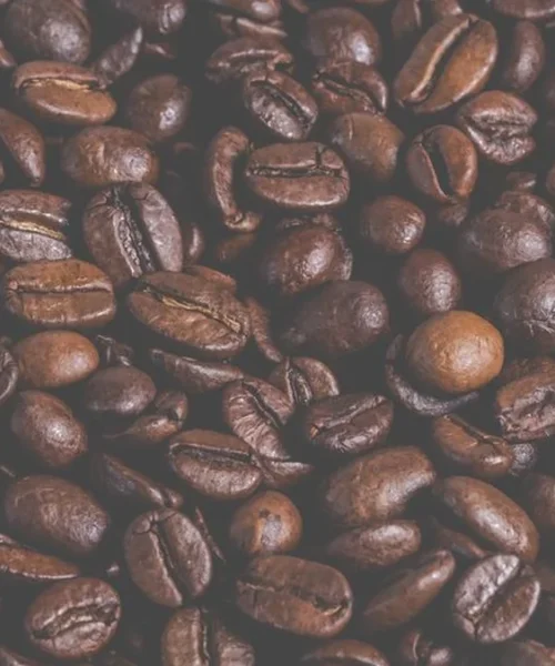 Natural disasters and award season shape the global coffee landscape