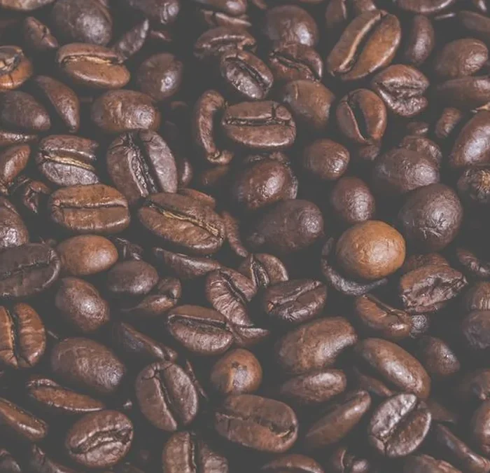 Natural disasters and award season shape the global coffee landscape