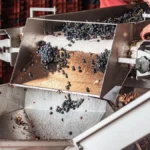 Red Liberica coffee cherries undergoing anaerobic fermentation in a stainless steel vessel for specialty production.