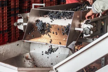 Processing innovation is elevating Liberica from commodity to specialty