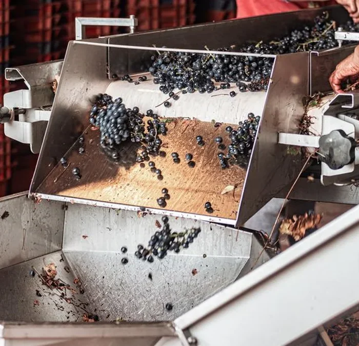 Processing innovation is elevating Liberica from commodity to specialty
