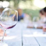 Various glasses of white and red wine arranged on a wooden table during a tasting.