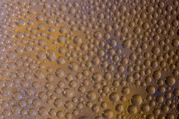 Sensory Texture Drives India’s Boba Obsession