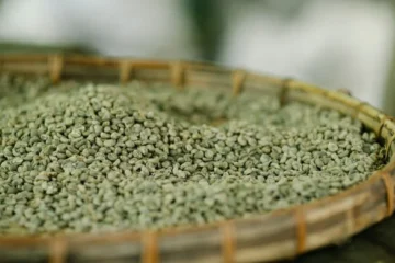 Shrinking Arabica Stocks Meet Looming EUDR Regulations
