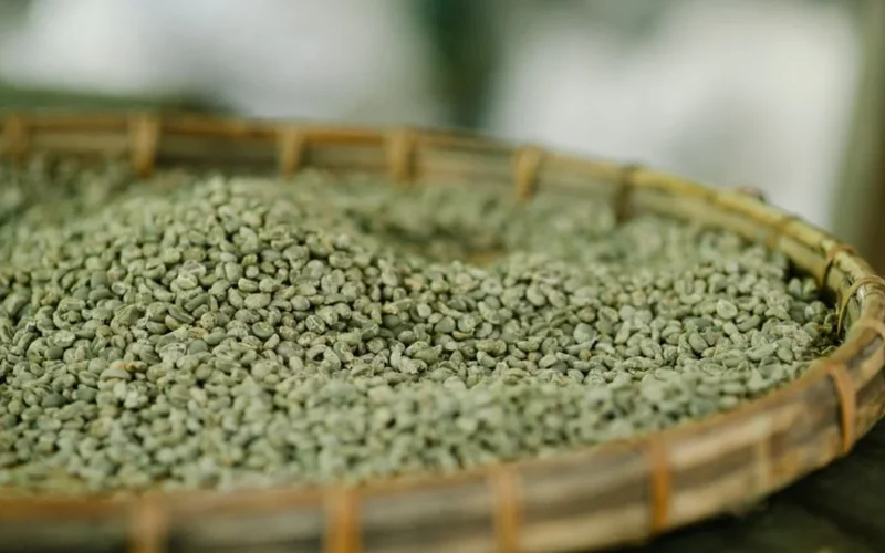 Close-up of raw green arabica coffee beans overflowing from a burlap sack on wood.