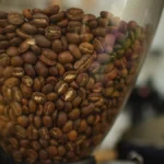 Modern electric coffee roaster with green coffee beans in a sunlit sustainable roasting facility.
