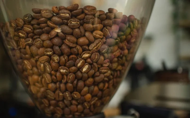 Modern electric coffee roaster with green coffee beans in a sunlit sustainable roasting facility.