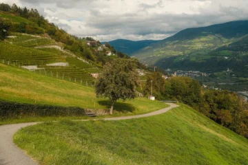 Solvero finds elegance in high altitude Okanagan terrain