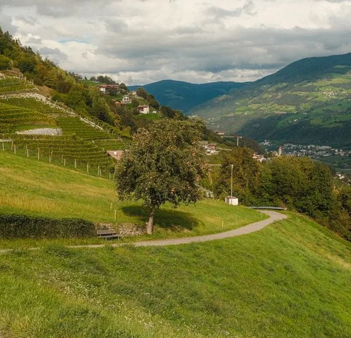 Solvero finds elegance in high altitude Okanagan terrain