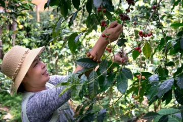 South India Coffee Company Is Redefining Indian Specialty Coffee