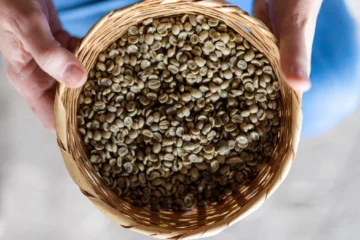Specialty Coffee Lacks a Unified Global Voice