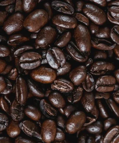 Why High-End Coffee Profiles Collapse Days After Opening