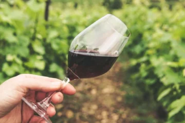 Black-Owned Wineries Redefining American Viticulture