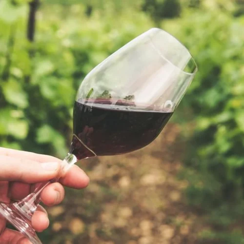 Black-Owned Wineries Redefining American Viticulture
