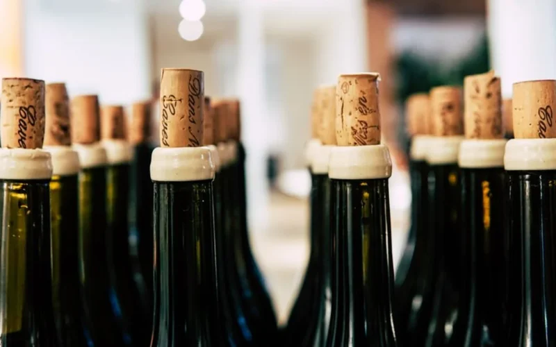 Ponzi Vineyards Chardonnay and Pinot Noir bottles set against an Oregon vineyard landscape.