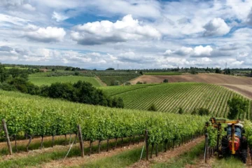 The Complex History of Glyphosate in Viticulture